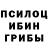 Галлюциногенные грибы Magic Shrooms Nana Gugeshashvili