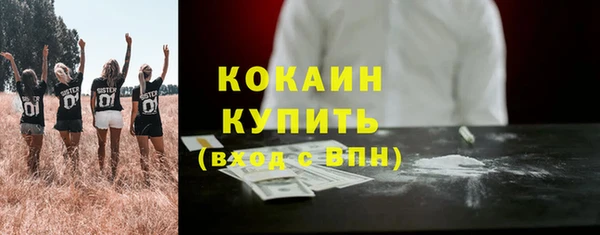 соль ск Алексеевка