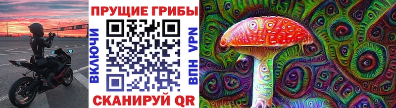 mega tor  Билибино  Псилоцибиновые грибы Psilocybe 